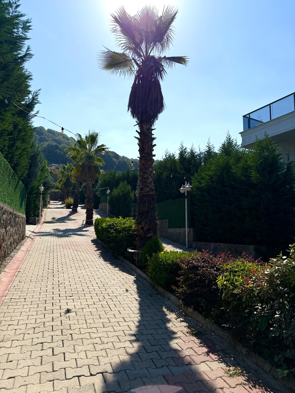 Villa | Wiev dış mekân görsel 16